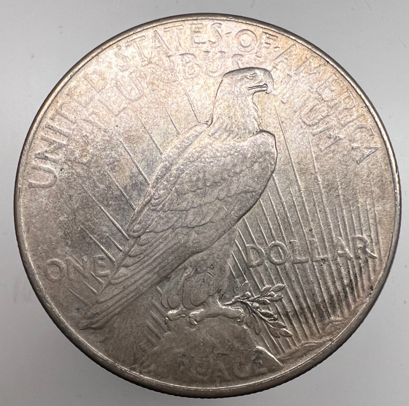 10-Days-Of-Peace-Dollars!
